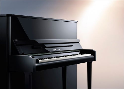 珠江鋼琴回收 西寧二手鋼琴回收免費(fèi)估價