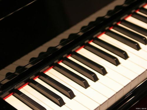 鋼琴調(diào)律師證書(shū)有什么用,怎么報(bào)名的